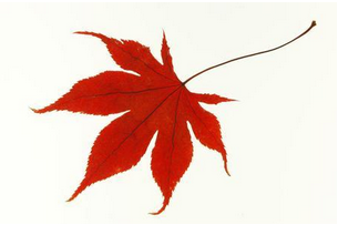 短信群發(fā)平臺(tái)到底安全嗎？