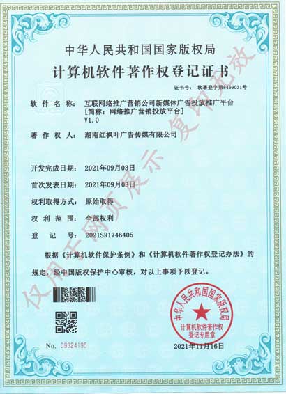 網(wǎng)絡(luò)推廣營銷投放平臺2021年.jpg